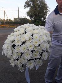 Bouquet of chrysanthemums Balloon