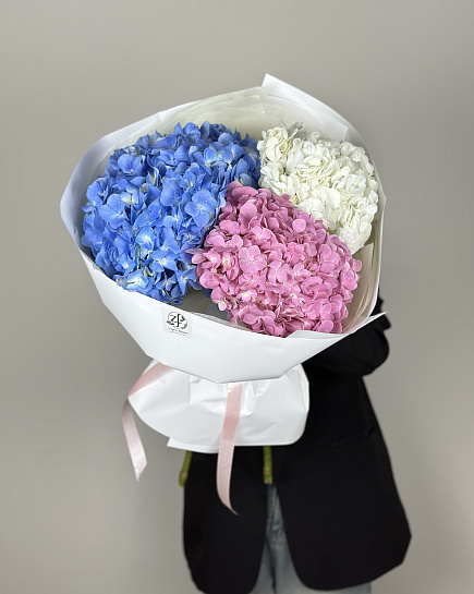 Hydrangeas with delivery to Astana