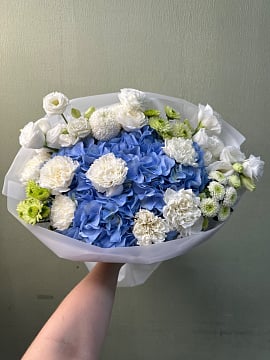 Синяя гортензия с белыми акцентами