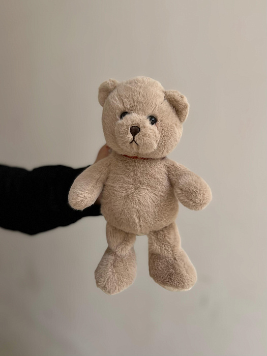 Teddy bear (20cm)