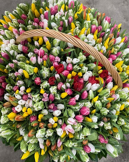 501 тюльпан в корзине  с доставкой по Алматы