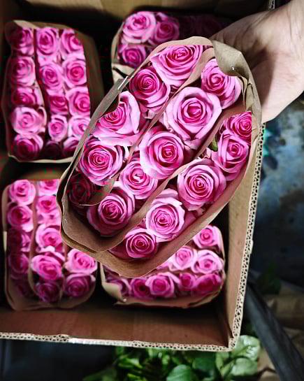 Revival 40 см (15 шт) с доставкой по Астане