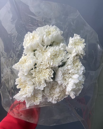 Диантусы в пачке 25 с доставкой по Астане