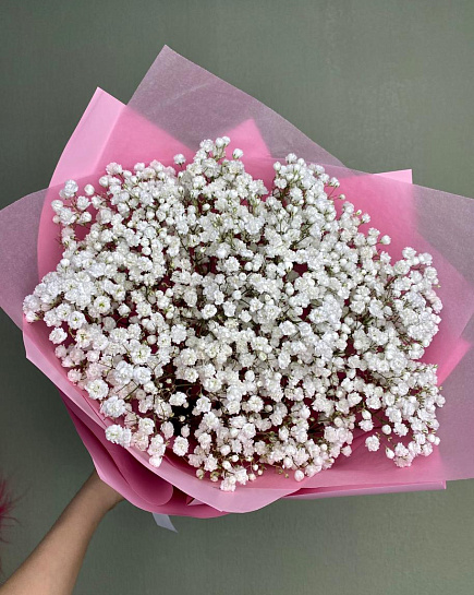 Gypsophila with delivery to Kostanay.