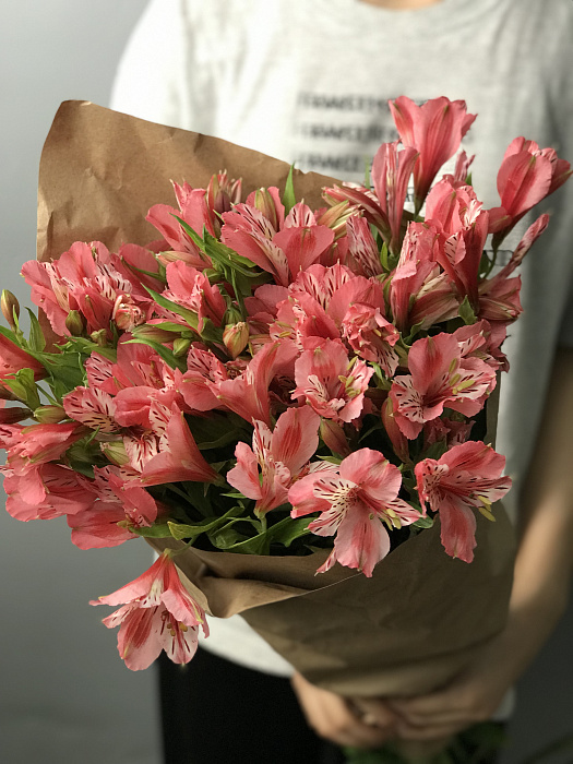 Alstroemeria wholesale 1 pack (10pcs) color to choose from