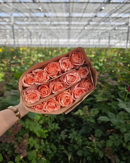 Saida 50 см (15 шт) с доставкой по Астане