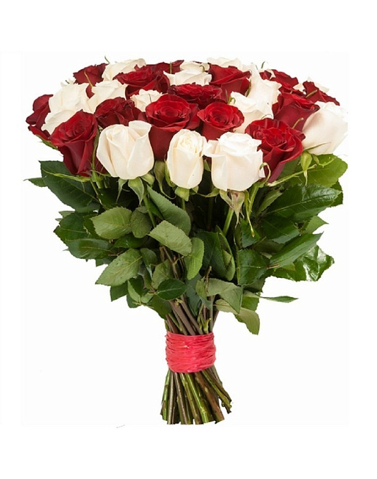 Bouquet of 33 red and white roses mixed