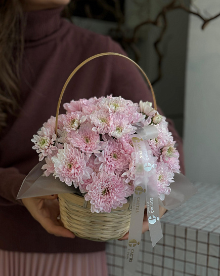 Basket with chrysanthemum mini with delivery to Astana