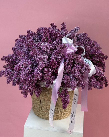 Lilac basket with delivery to Almaty