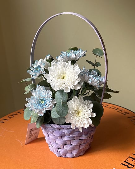 Маленький круглый букет из белых и синих хризантем with delivery to Астане