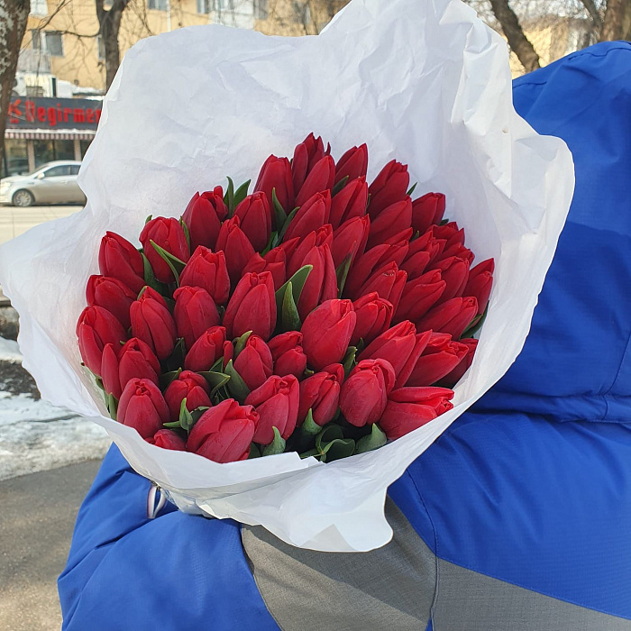 Red tulips 50 pcs wholesale