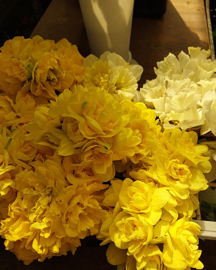 Narcissus in a pack with delivery to Almaty