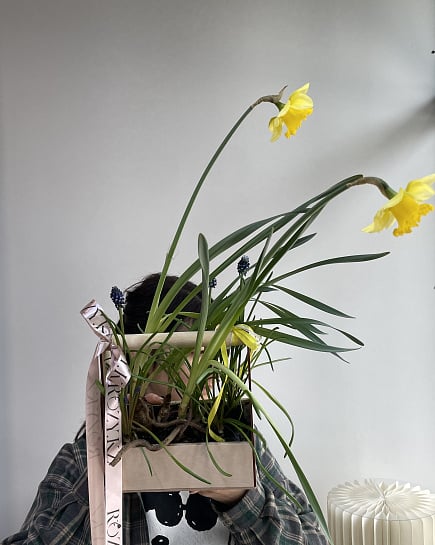 Весеннее пробуждение с нарциссами с доставкой по Астане