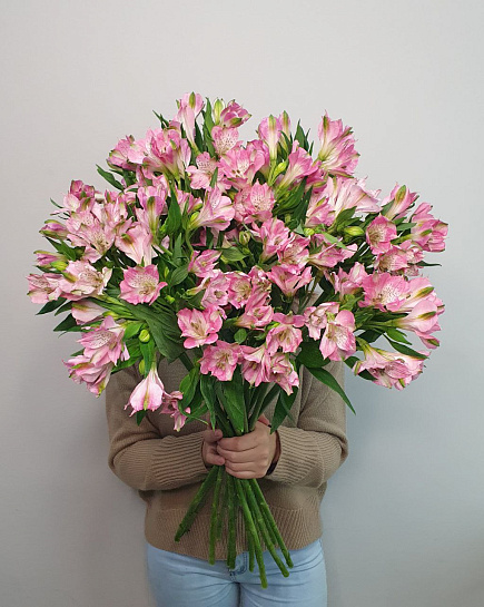 Bouquet of Pink cloud of alstraemeria flowers delivered to Astana