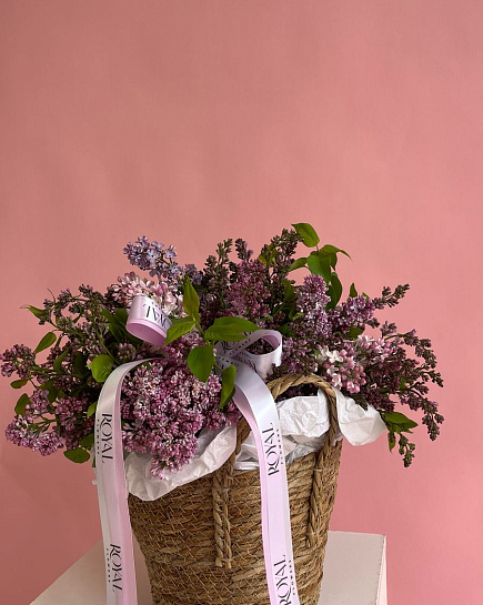 Lilac in Kashpo with delivery to Almaty
