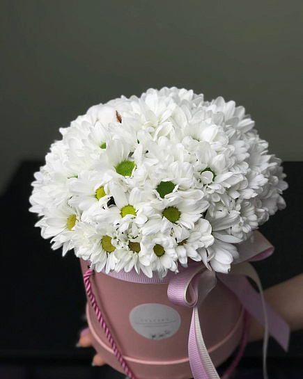 Bouquet of Daisies in a box flowers delivered to Astana