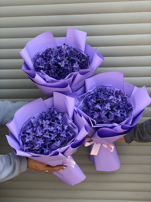 Bouquet of hyacinths