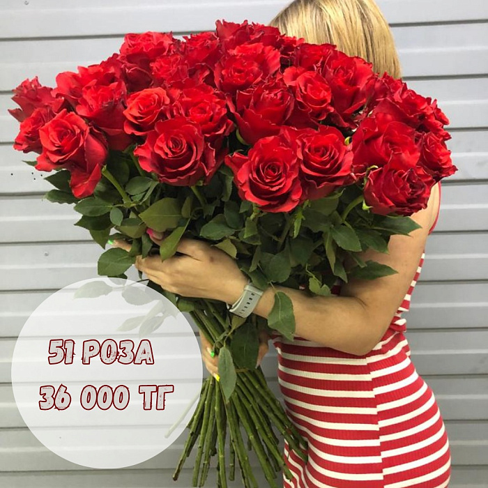 51 красная Роза 51 красная Роза