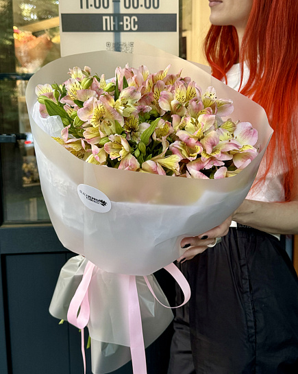 SCARLETT with delivery to Almaty