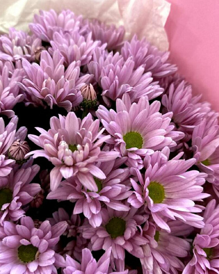 Bouquet of Bouquet of 7 pink chrysanthemums flowers delivered to Almaty