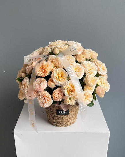 Shrub roses in basket S with delivery to Astana