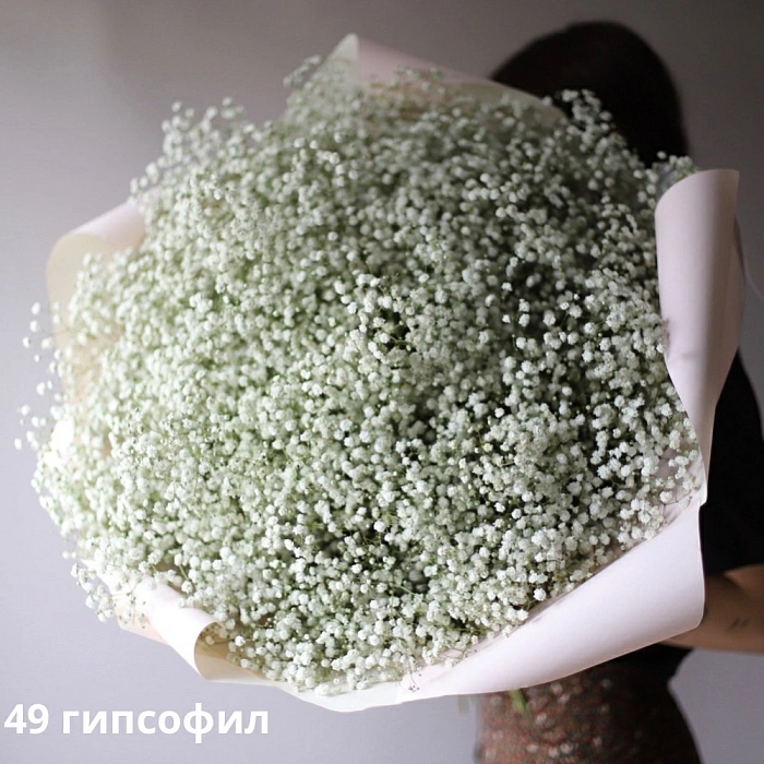 Bouquet of white gypsophila (49)