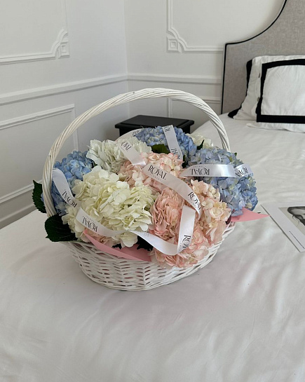 Hydrangea in a basket with delivery to Astana