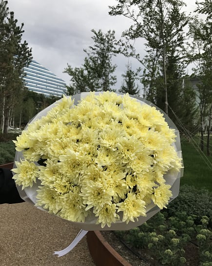 Chrysanthemum with delivery to Astana