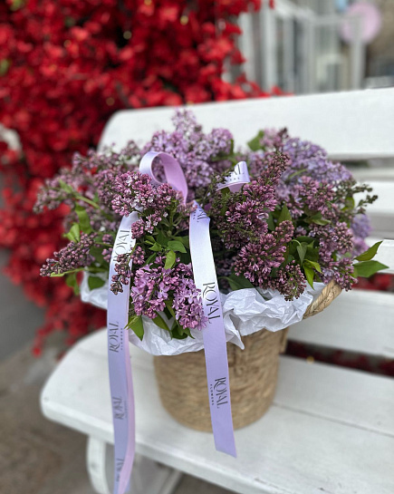 Lilac in a basket with delivery to Almaty