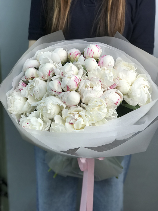 White peonies 25 pcs