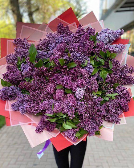 Bouquet of Bouquet Lilac XL flowers delivered to Almaty