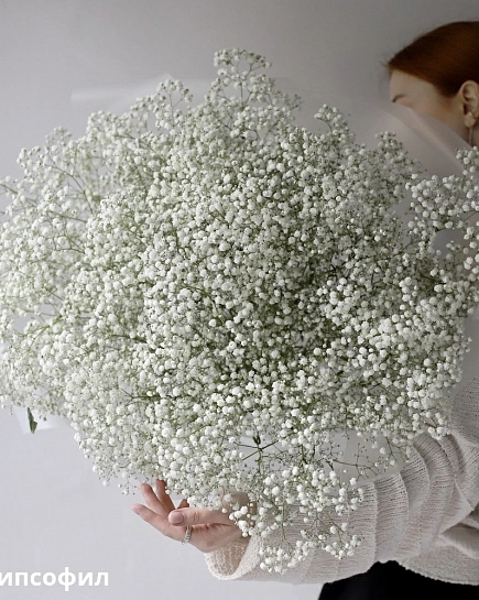 Bouquet of Bouquet of white gypsophila (25) flowers delivered to Shymkent