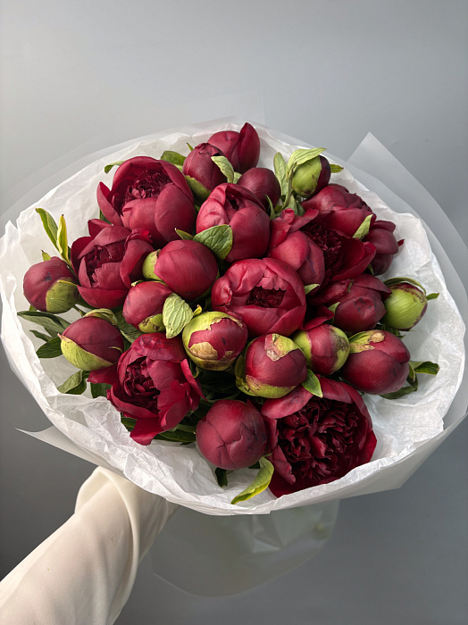 Red Charm 25 pieces in the bouquet Red Charm 25 pieces in the bouquet