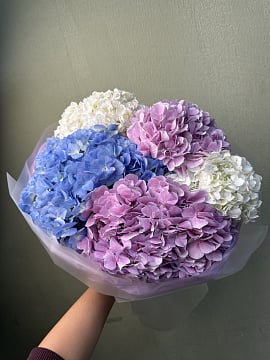 Облако гортензий: сине-фиолетовый микс