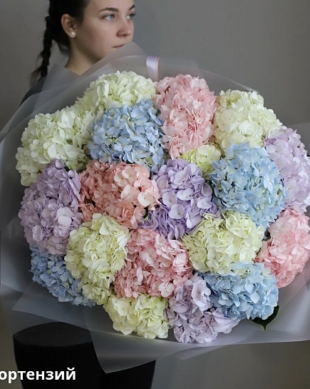 Bouquet of Bouquet of Colombian hydrangeas (19) flowers delivered to Shymkent