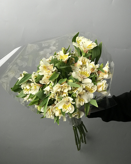 Bouquet of Alstroemeria wholesale 1 pack (10pcs) color to choose from flowers delivered to Astana