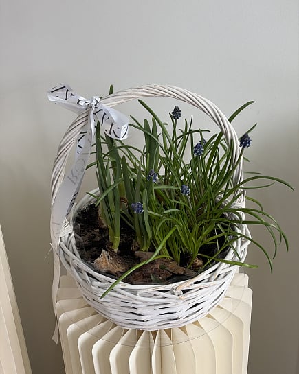 Весеннее пробуждение в корзине с доставкой по Астане