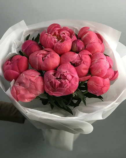 Coral Sharm 11шт с доставкой по Астане