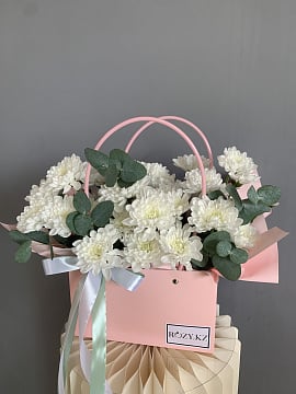 Белоснежное облако в розовой сумочке