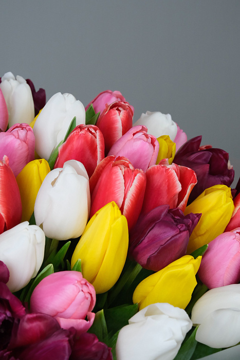 Bouquet of 101 tulips