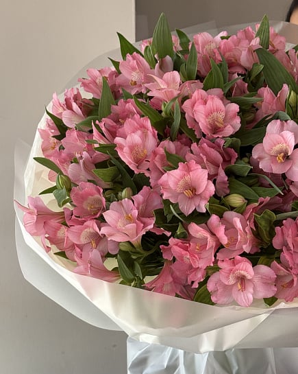 Mona pink  с доставкой по Алматы