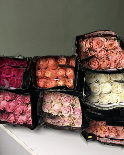 25 роз в пачке (оттенок на вкус флориста) с доставкой по Астане