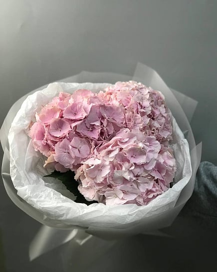 Моно из розовых гортензий  с доставкой по Астане