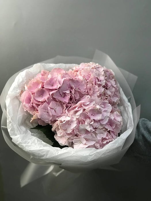 Моно из розовых гортензий Моно из розовых гортензий