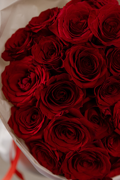 Bouquet of 25 scarlet roses Bouquet of 25 scarlet roses