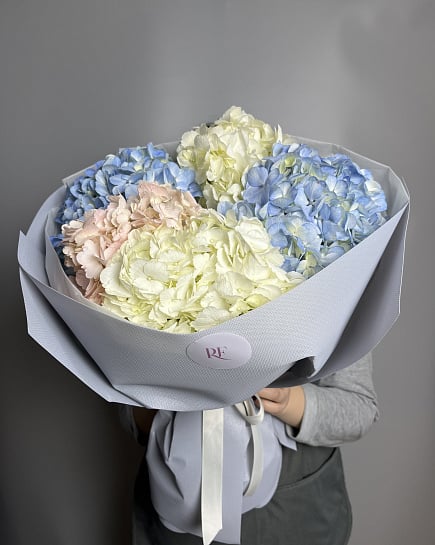 Букет из разноцветной гортензии с доставкой по Астане