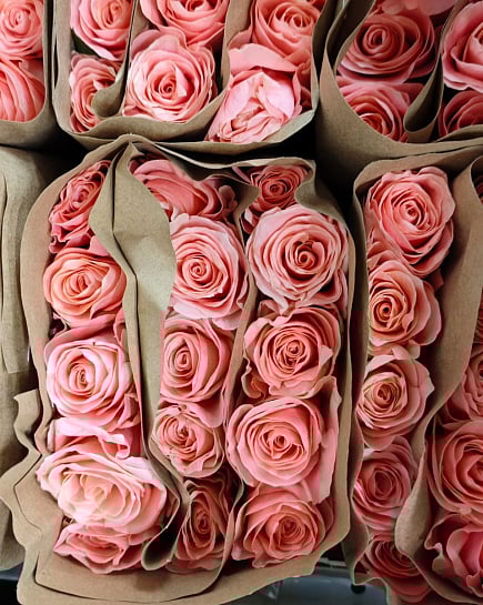 Saida (15 шт) с доставкой по Астане