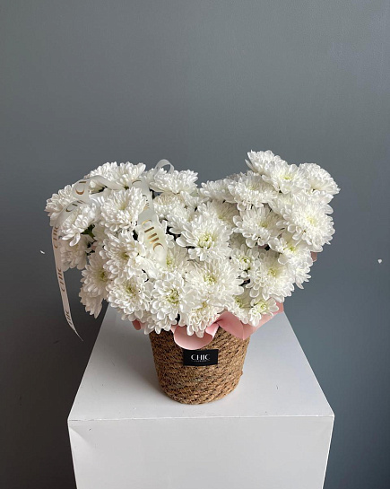 Chrysanthemums in basket S with delivery to Astana