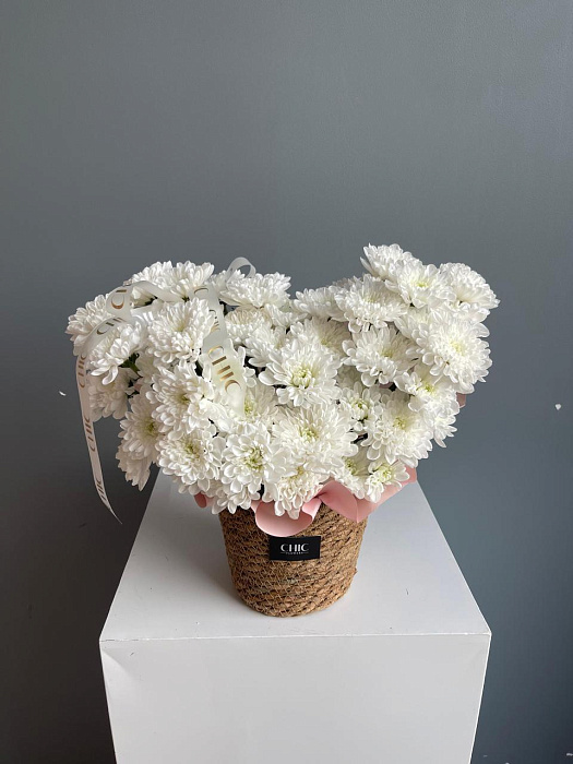 Chrysanthemums in basket S