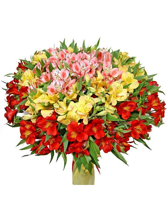 Bouquet of 25 alstromeriyas